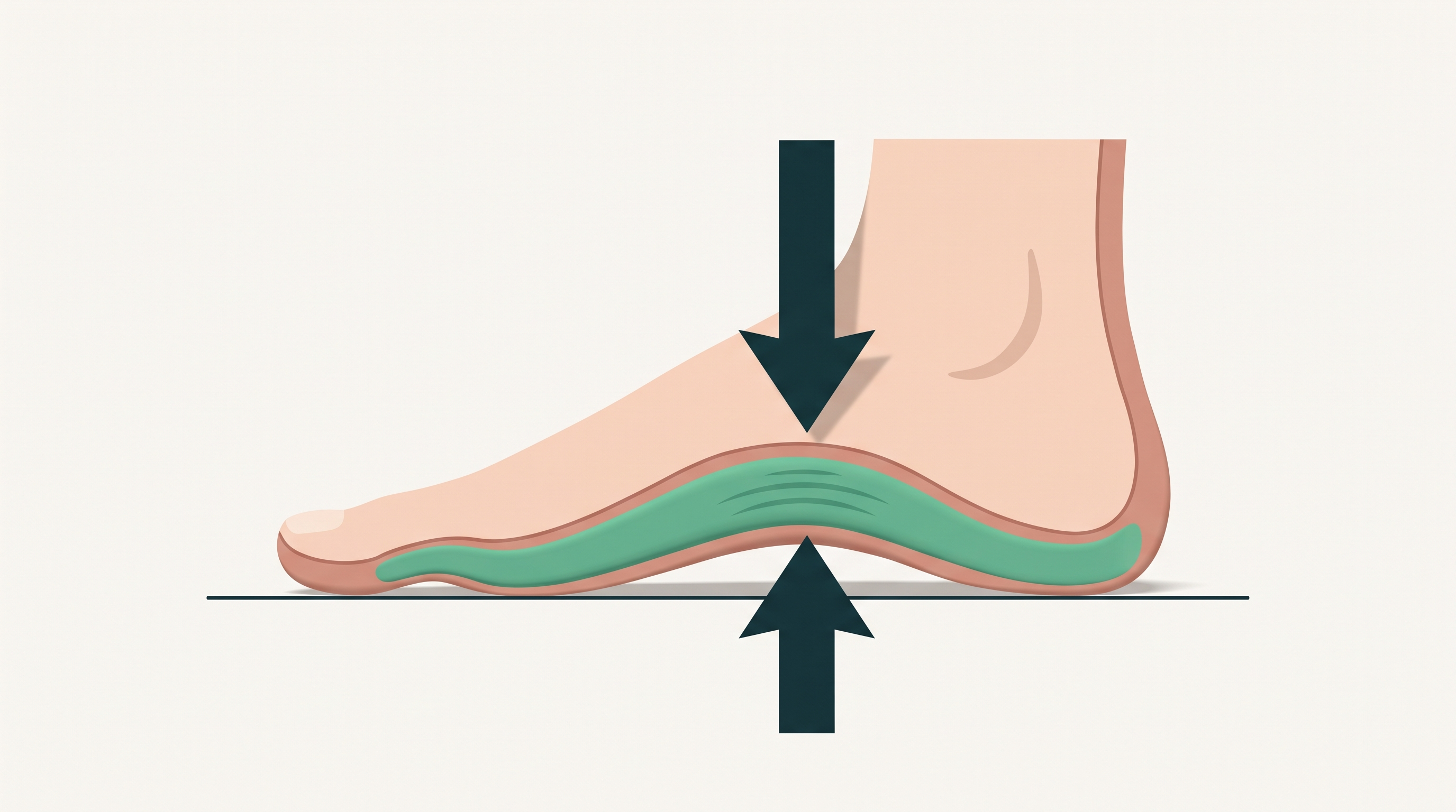 A foot with body weight pressing down and the ground pressing up, compressing the sole tissue